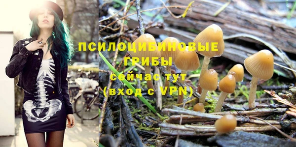 ГАЛЛЮЦИНОГЕННЫЕ ГРИБЫ Абдулино