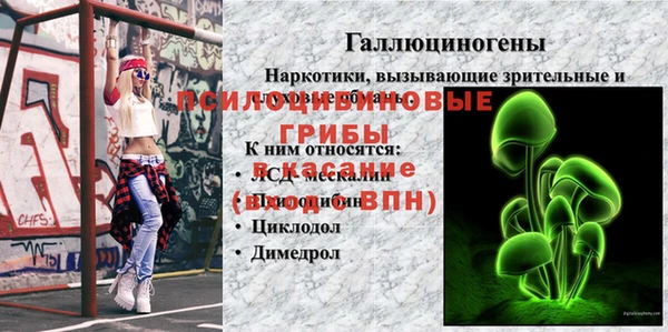 эйфоретик Саяногорск