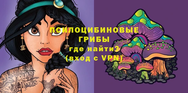 трава Абаза